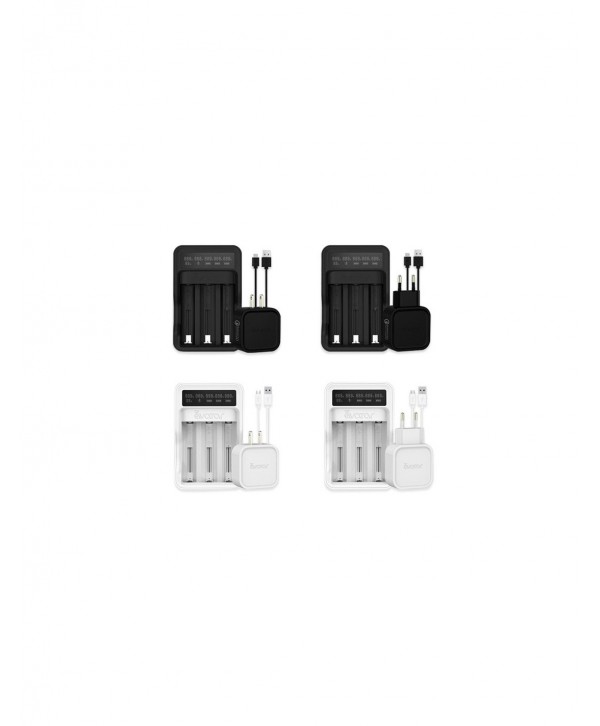 Avatar Intelligent Battery Digicharger Kit